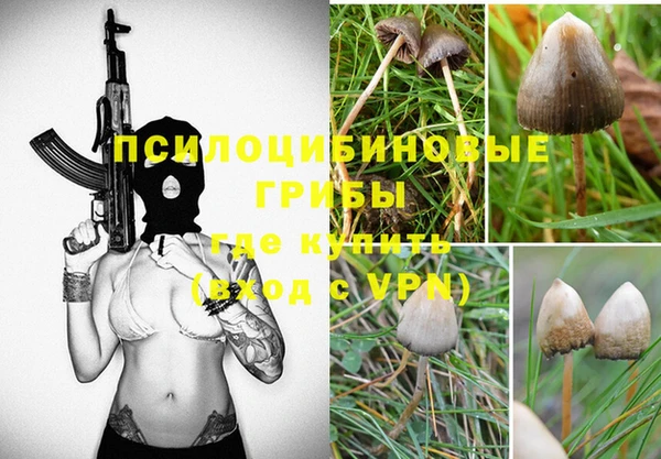 метадон Семикаракорск